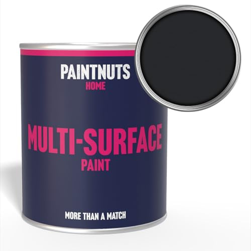 Paintnuts Multi-Surface Paint - RAL-9011 - GRAPHITE BLACK - 250ml Tin - Gloss Finish