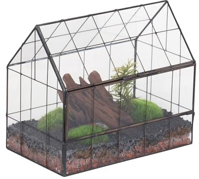NCYP 24x14x20,6 cm Terrario in Vetro Piccolo con Apertura Frontale, Fioriera Geometrica Chiusa a Forma di Casa per Piante, Decorazione da Tavolo Interni, Serra Vintage (Senza Piante, Solo Terrario)