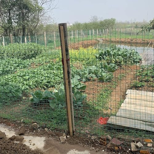 KAnduo Malla metálica para Jardin Valla de Alambre, Valla de jardín Suregreen, Malla de 6 x 6 cm, Malla de Aislamiento, Malla Reutilizable