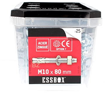 Scell-it ESSBOX de 25 Goujons D'Ancrage 10X80 Acier