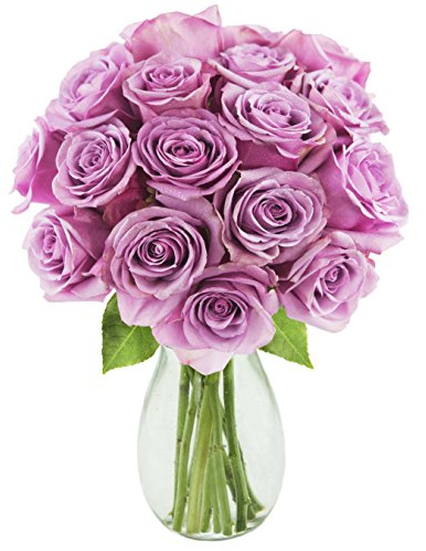 KaBloom PRIME NEXT DAY DELIVERY - Bouquet of 18 Fresh Cut Purple Roses with Vase.Gift for Birthday, Sympathy, Anniversary, Get Well, Thank You, Valentine, Mother’s Day Fresh Flowers