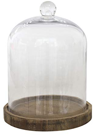 Stonebriar 8.5 Inch Clear Glass Dome Cloche with Rustic Wooden Base, Brown
