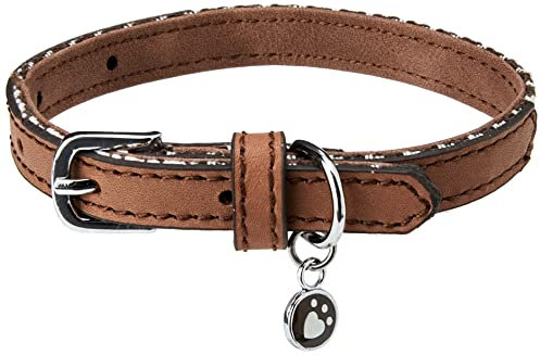 Rosewood Wag-N-Walk Designer Brown Houndstooth Dog Collar, Small, Clear