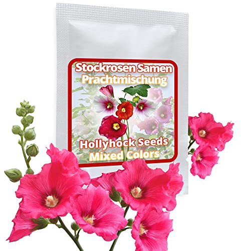 Hollyhocks 50 Flower Seeds - Colorful Mix Hardy/Perennial