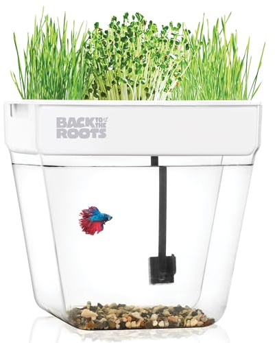 Back to the Roots Indoor Aquaponic Garden - 3 Gallon Self Watering, Mess-Free Planter and Self-Cleaning Fishtank for Herbs, Microgreens, Bamboo, Succulents, and Houseplants, support Fish