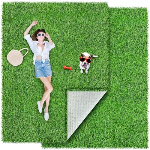 Drydiet 2 Pcs 5 x 3 ft Fake Grass Decor, Indoor Outdoor Dog Mat