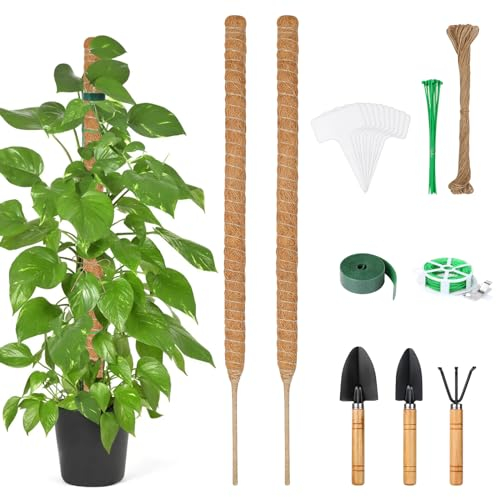 Furuising 2 Stück 100cm Rankhilfe Monstera, Biegbar Monstera Rankhilfe, Natürlicher Moosstab für Monstera mit Stabil 7mm Aluminiumkern und 6 Zubehör für Kletterpflanzen Natürlicher Pflanzenstütze
