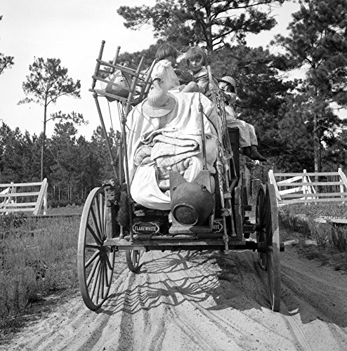 Florida Moving Day 1936 Nmoving Day In Turpentine Pine Forest Country In Florida Photograph By Dorothea Lange 1936 Poster Print by (18 x 24)
