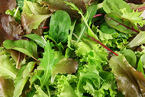 Viridis Hortus - Lettuce BabyLeaf Mesclun Mix - 5,000 (4.92g's) - A Blend of Salad Leaf Mix Lettuce Seeds