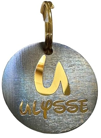 UNIKTAG Médaille pour chien ou chat, édition spéciale Letter irisée 25mm ou 30mm en acier inoxydable (25mm, Or)