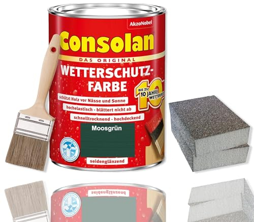 Consolan Lot de pinceaux de protection contre les intempéries 2,5 l