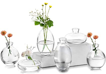 EylKoi Kleine Vasen füR Tischdeko Glas 2 Sätze(6 Stück) Transparent Mini Vase Vintage Handmade Hydroponic Glasvase Blumenvase Modern Set Fuer Hochzeit Tischdeko, Zuhause Wohnzimmer Blumen Rose
