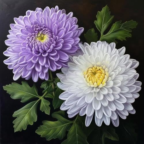 Peinture Numero Adulte Plante chrysanthème, DIY Peinture Acrylique pour Adultes Enfants Débutants Facile sur Toile,avec Peintures et Pinceaux, Peinture à l'Huile sur Toile, Decor Cadeau 40x40cm S-869
