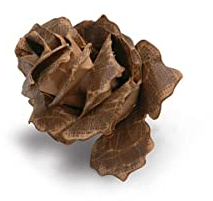 Sizzix 660035 Bigz Matrice Jumbo Pomme de Pin en Lambeaux par Tim Holtz Gris