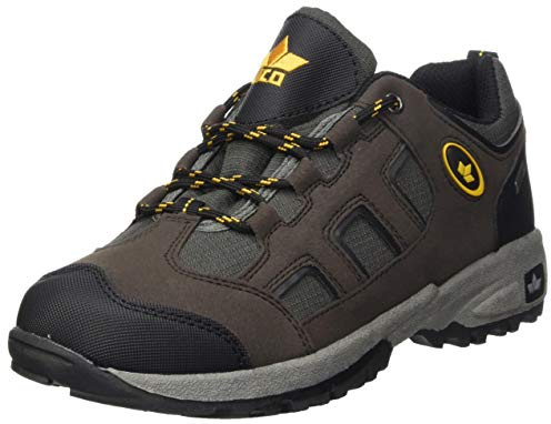 Lico Outdoor- & Trekkingschuh de plein air Homme