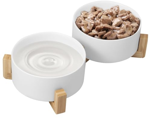 Set di ciotole per cani, 2 in 1, in ceramica, con supporto in legno rialzato, capacità 850 ml, set di ciotole per animali di medie dimensioni, antiscivolo (bianco)