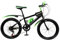 AOAPUMM 20 Zoll Kinder Fahrrad Mountainbike Dual Disc Brake Fahrrad Jungen Mädchen Kinder grün