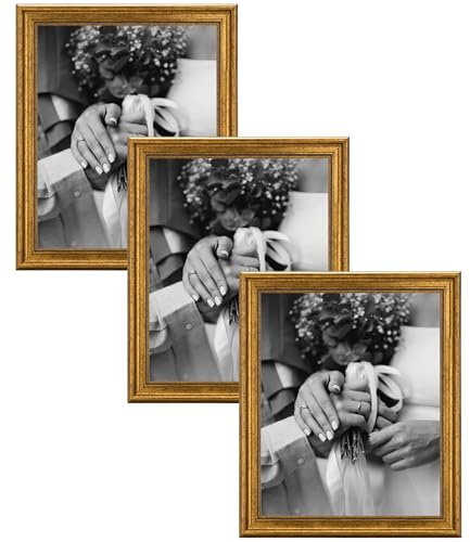 CABBEL fotoram 40x50 cm guld 3-pack vintage barock antik stil akrylglas okrossbart foto poster certifikat elegant hem