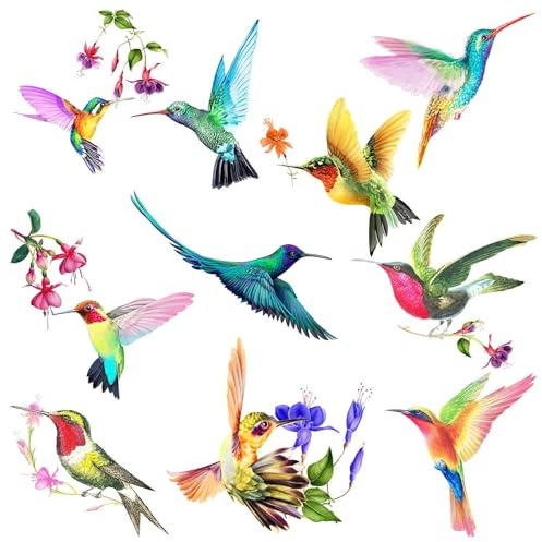 20 Pieces Large Size Hummingbird Window Hummingbird Decals for Windows Anti-Collision Window Clings Decals to Prevent Bird Strikes on Glass Non Adhesive Vinyl Cling Stickers