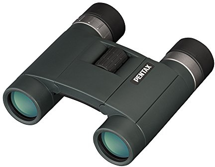 Pentax AD 8x25 WP BaK-4 Binoculars Black 105 mm 110 mm 40 mm 300 g