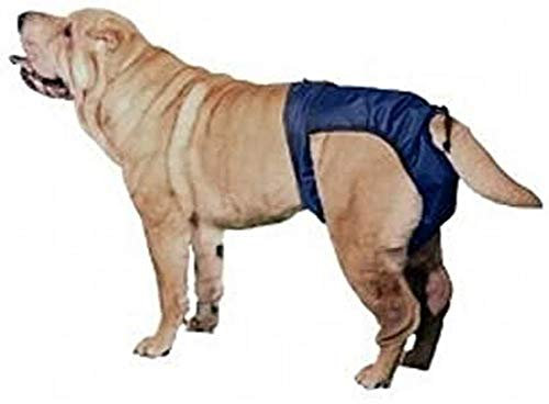 KVP Integrated Pet Solutions SnuggEase Hundewindeln, waschbar, Größe L, 2 Stück