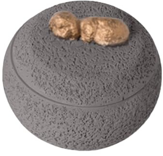 Boîte à cendres pour chien | Boîte commémorative antidérapante pour animal domestique, cercueil décoratif lisse pour perte de mémoire, chats, funérailles, chiot, condoléances