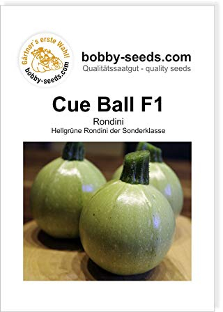 Bobby-Seeds Zucchinisamen Cue Ball F1 Portion