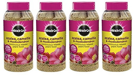 Azalea - Tarros para plantas (4 unidades, 1 kg)