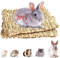 COTELEEC 2 PCS Rabbit Grass Mats, Natural Straw Hay Woven Rabbit Bed Cage Mats Pet Handmade Bedding, Sleeping Chewing Nesting and Toys for Hamster Bunny Chinchilla Bird and Other Small Animal (2Pcs)