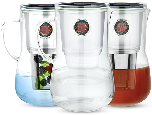 Water Pitcher of Life in vetro borosilicato alcalino con infusore per frutta in acciaio inox 0,4 galloni brocca in vetro con coperchio chiaramente filtrata brocca per acqua aumenta il pH NSF/ANSI 42 e