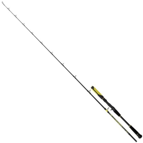 Black Cat Perfect Passion Allstar Cast 220cm 30-130g - Wallerrute, Rute zum Wallerangeln, Spinnrute