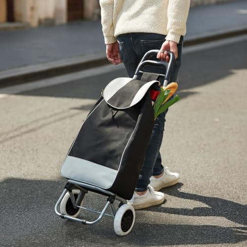 2 Wheels 35L litre Lightweight Shopping Grocery Trolley Travel Folding Cart Luggage Waterproof Bag Hard Wearing & Foldaway for Easy Storage (Black)