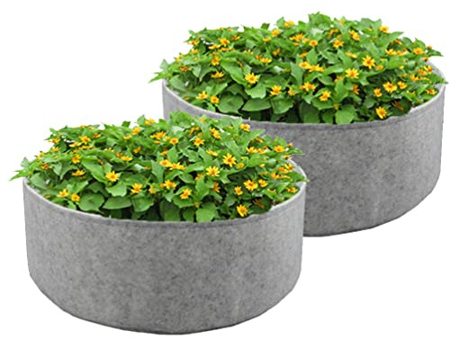 Stareal 2-Pack 10 Gallon Large Grow Bag, Vasi per fioriere da giardino rialzate in tessuto resistente per piantare erbe aromatiche, fiori, verdure, patate, 50 cm (D) x 20 cm (H), grigio