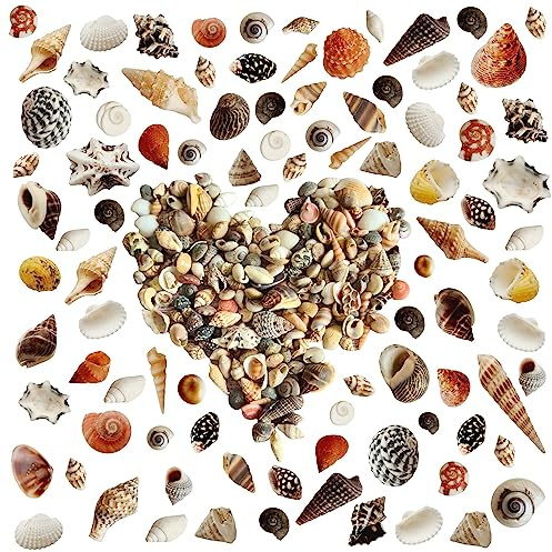 Avalon 400 pcs Tiny Mixed Sea Shells 20-25 Styles Ocean Spiral Seashells Tiny Beach Conch Shells Marine Life Seashells for Beach Theme Party, Resin Craft, Candle Making, Wedding Decor, Fish Tank