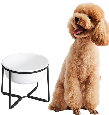 Gamelle Chien Surélevée en Céramique – Bol avec Support en Métal Antidérapant – Idéale pour Chiens de Petite et Moyenne Taille – 800 ML – Blanc