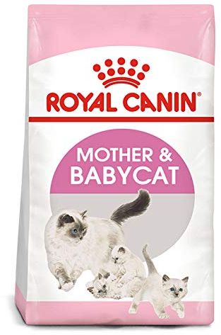 ROYAL CANIN Mother & Babycat - 10 kg