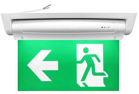 Paneles de salida de emergencia LED fotoluminiscentes, iluminación de seguridad con batería 3h, 6 paneles de salida, larga duración luminosa, señalización de emergencia, camino de fuga LED derecha