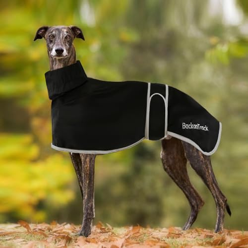 HBJSP Windhunde-Regenmantel, leicht, wasserdicht, Windhundemäntel, wasserdicht, Whippet-Regenmantel, Windhunde, Sommer, Winter, Hundemäntel für Lurcher für mittelgroße und große Hunde (S, Schwarz)