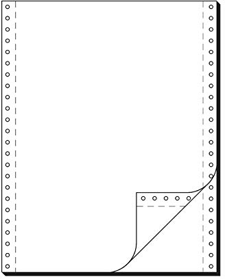 Schäfer Shop Computer Endlospapier. LP. SD. 2-fach blanko. 1000 St.
