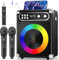 MusyVocay Karaoke Potable System, Multi-functional 20W PA System with 2 Wireless UHF Microphones and Rechargeable Slot in Machine, Complete Micro Karaoke Machine for Home Friends (NT002-BLACK-US)
