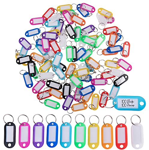 WINTEX Portachiavi con Targhette - 100 Porta Chiavi in Plastica Resistente - Etichette per Chiavi Colorate - per Organizzazione Viaggi Animali Domestici - Set Multicolore