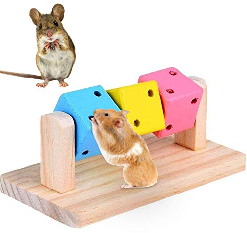 Besimple Hamster-Kauspielzeug, natürliches Holz zum Schleifen der Zähne, Spielzeug für Meerschweinchen, Übung Intelligenz-Training, bunter Holzblock für kleine Haustiere zum Kauen und Spielen