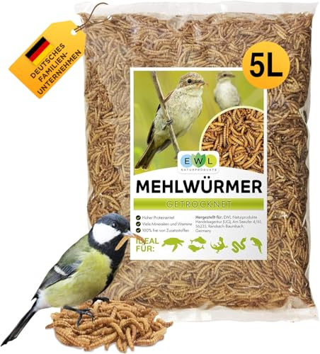 EWL Naturprodukter mjölmaskar torkade 5 L (800 g), insektssnack för fåglar, fiskar, sköldpaddor, gnagare och reptiler