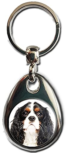 KAZMUGZ CAVALIER KING CHARLES SPANIEL tricolour Dog KEYRING. Heavy quality metal gift keyring. Double sided keychain. Puppy Dog Pet gift.