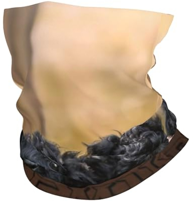 FUkker UV-Halsmanschette, Stirnband, Halswärmer, Gesichtsbedeckung, Schlauch, Halbgesichtsmaske, Schal, Sturmhaube,Affenpinscher Familienwelpen Schwarze Hunde Affe