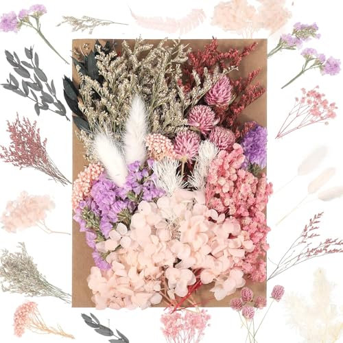 JIEYUCHU Fiori secchi per artigianato fai da te, conservati naturalmente in resina, album di ritagli e inviti di nozze