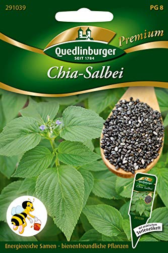 Quedlinburger 291039 Salbei Chia (Salbeisamen)