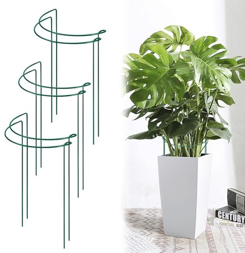 Gabbia ad anello semicircolare, 6 pezzi, supporto per piante in metallo, per piante da giardino, piante perenni, piante rampicanti per verdure, pomodori, peonie, rose, piante in vaso (20 x 35 cm)