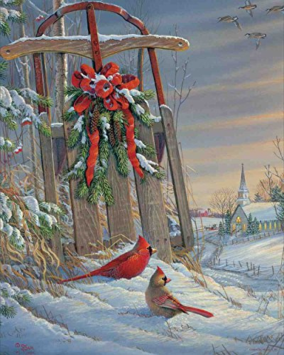 Springbok 34-01442 Winter Red Birds 500 Piece Jigsaw Puzzle, Multi