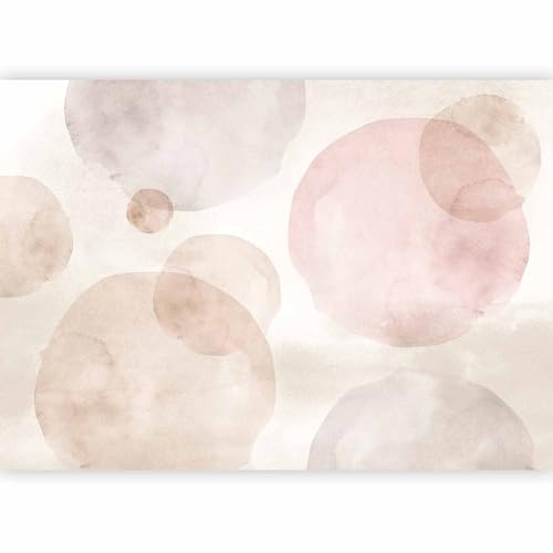 murando Carta da parati Astrazione 400x280 cm Fotomurali in TNT Murale alla moda Decorazione da Muro XXL Poster Gigante Design Carta per pareti Motivi Geometrici Cerchi Colori pastello a-A-10251-a-a